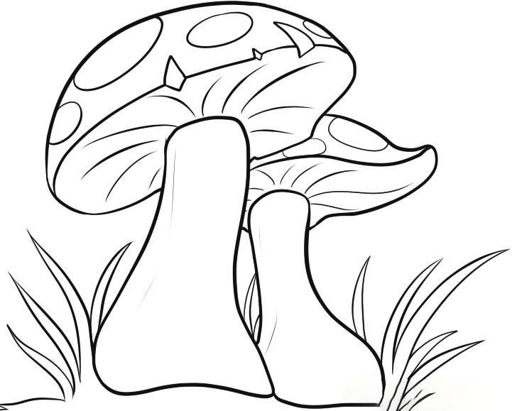 Xem hơn 100 ảnh về hình vẽ cây nấm dễ thương  NEC