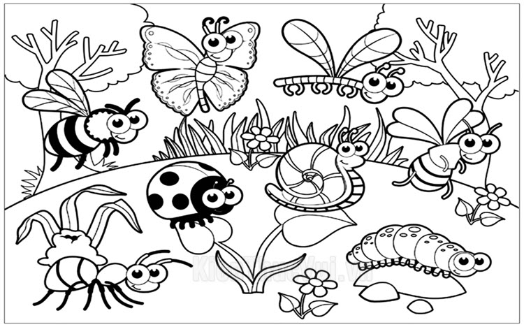 Tổng hợp hơn 64 tranh vẽ côn trùng tuyệt vời nhất  thtantai2eduvn