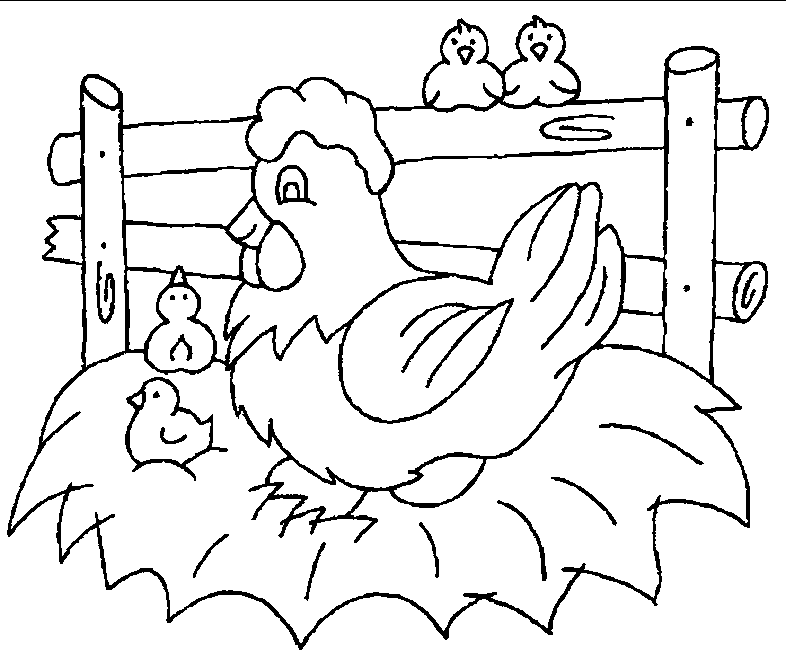 Tranh tô màu gà con và gà mái mẹ