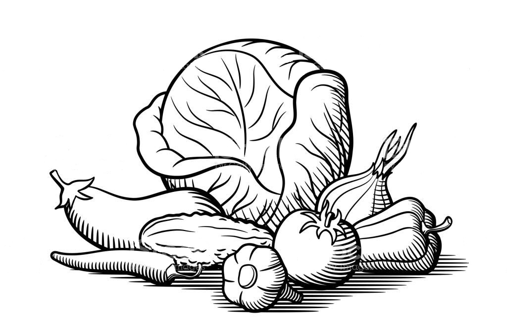 Tô màu bắp cải và rau củ cho bé