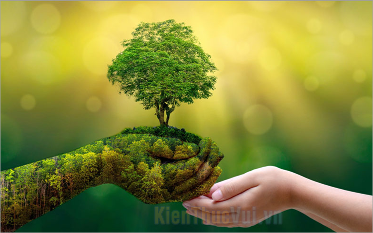100+ Slogan bảo vệ môi trường ý nghĩa nhất
