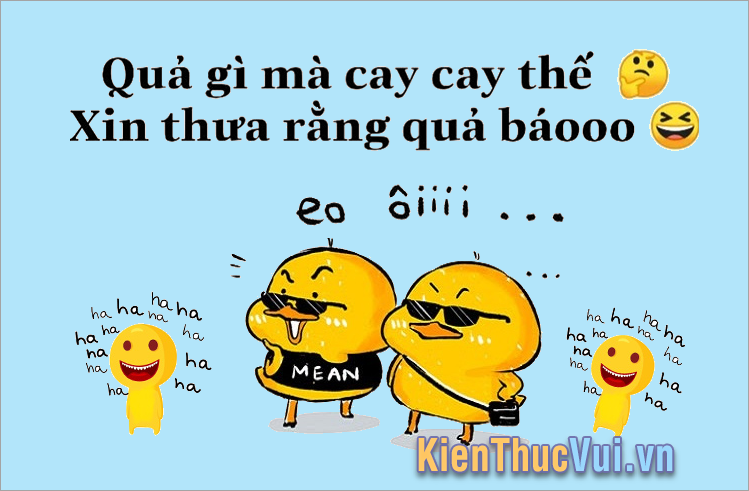 Những câu cà khịa cực gắt, độc đáo và hài hước nhất Những câu cà khịa cực gắt, độc đáo và hài hước nhất