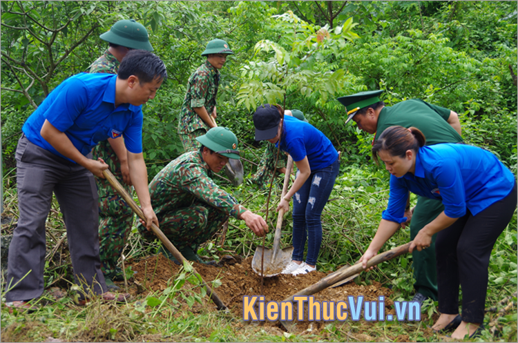 Slogan bảo vệ rừng