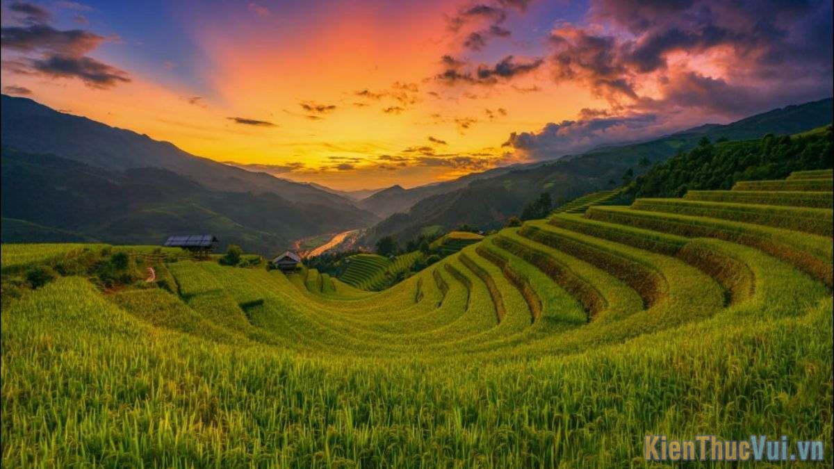 Những bài thơ ca hay về thiên nhiên, cảnh đẹp non nước Việt Nam