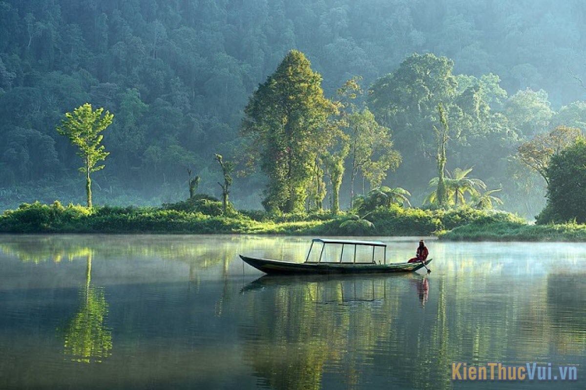 Những bài thơ tâm trạng buồn, lạc lõng, cô đơn