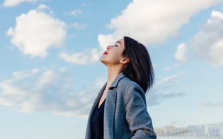 Những bài thơ tâm trạng về cuộc sống hay nhất