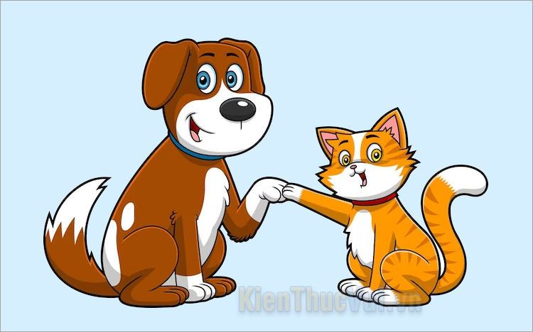 100+ Tên chó mèo hay nhất - Đặt tên cho chó mèo cute, ngầu, chất
