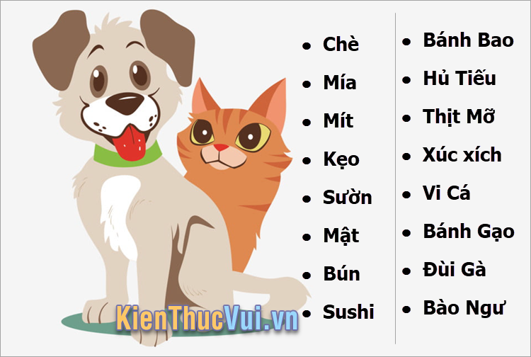 100+ Tên chó mèo hay nhất