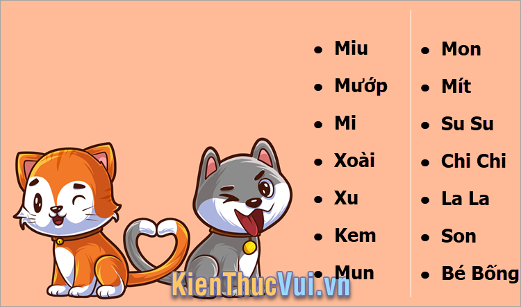 Đặt tên cho chó mèo cute