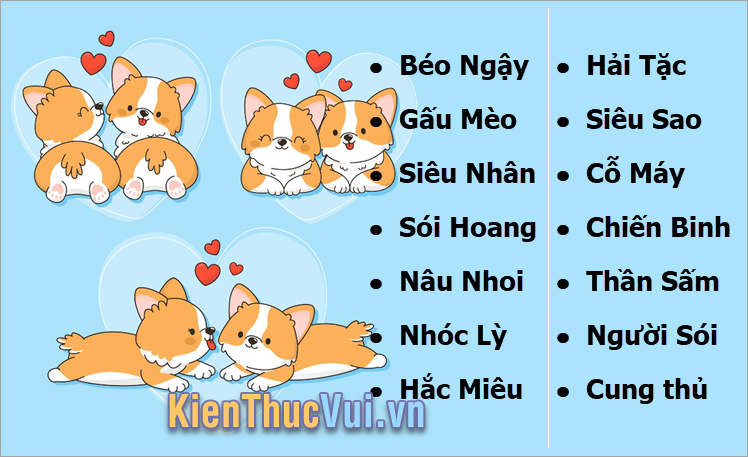 Đặt tên cho chó mèo ngầu, chất