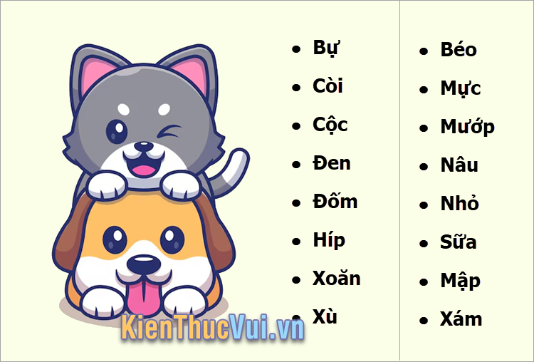 Tên chó mèo hay nhất bằng tiếng Việt