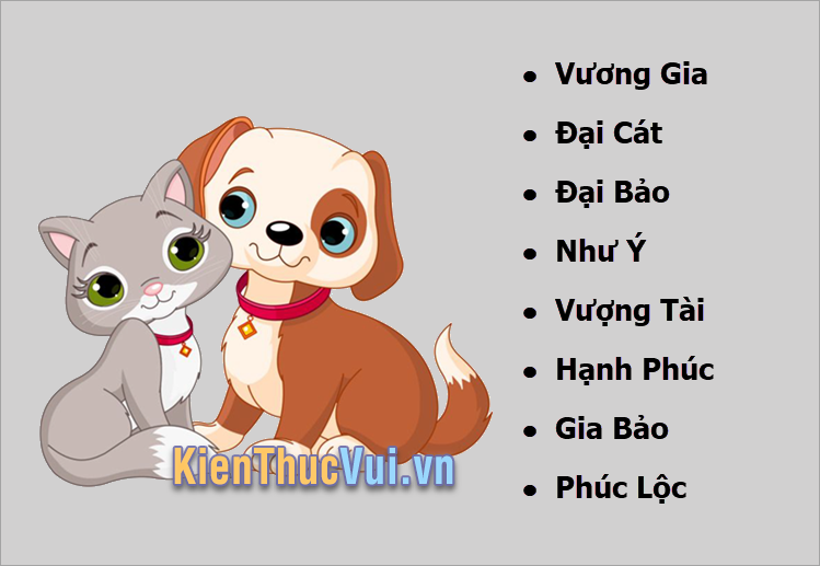 Tên chó mèo hay nhất hợp phong thủy