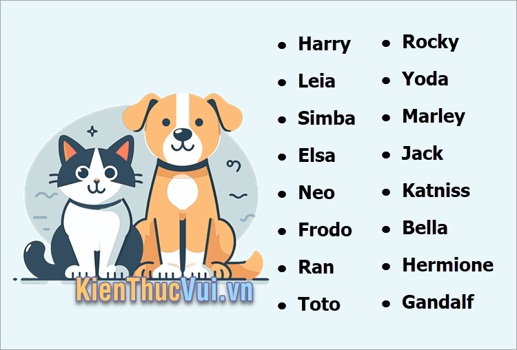 Tên chó mèo hay nhất theo các nhân vật nổi tiếng trong phim