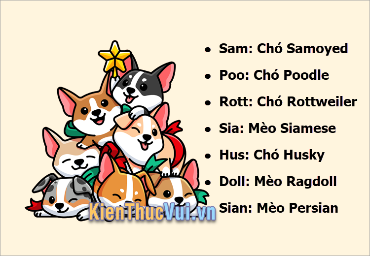 Tên chó mèo hay nhất theo giống loài