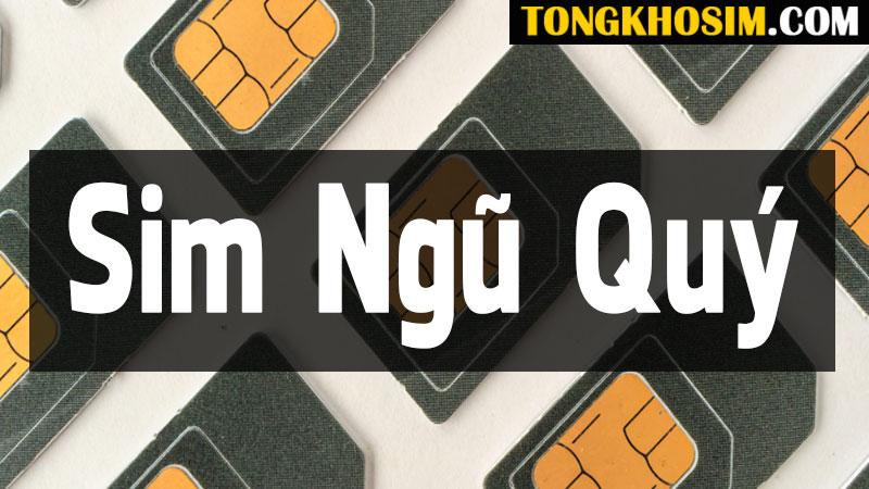 Sim ngũ quý thu hút tài lộc mạnh mẽ cho chủ sở hữu