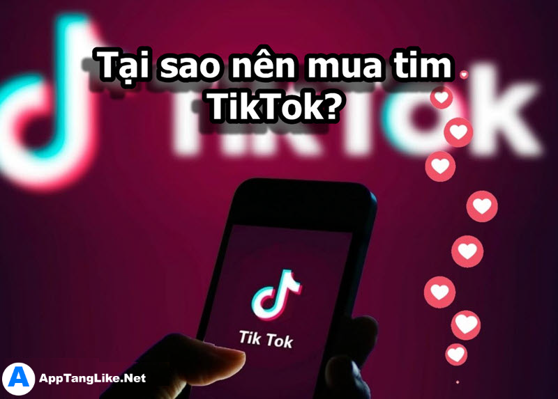 Tại sao nên mua tim TikTok Tại sao nên mua tim TikTok