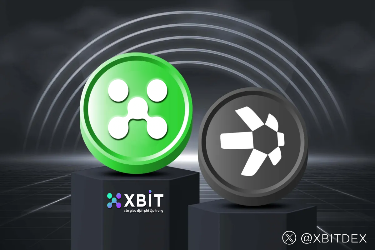 Cuộc Đại Phá Cách XBIT Định Hình Lại Cục Diện DEX